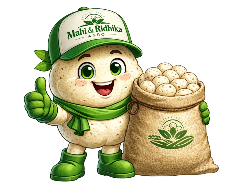 Jumbo Makhana — 6+ Premium