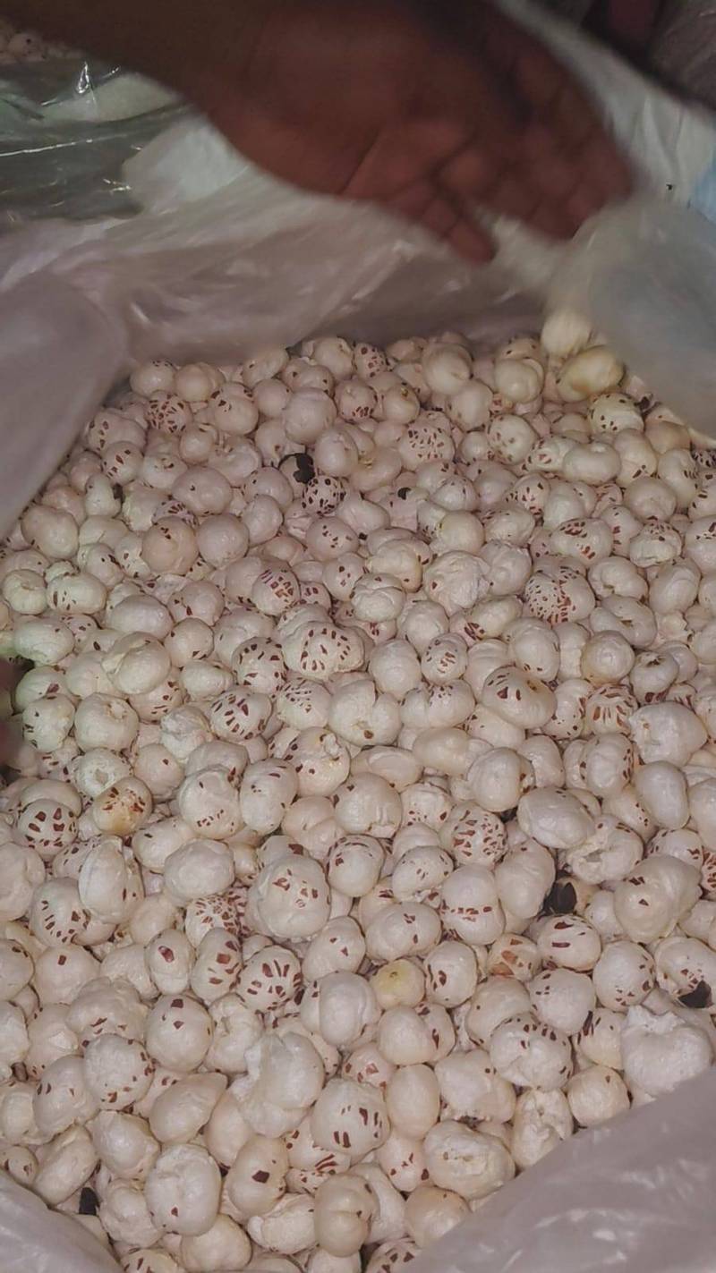 Himalayan Pink Salt Makhana