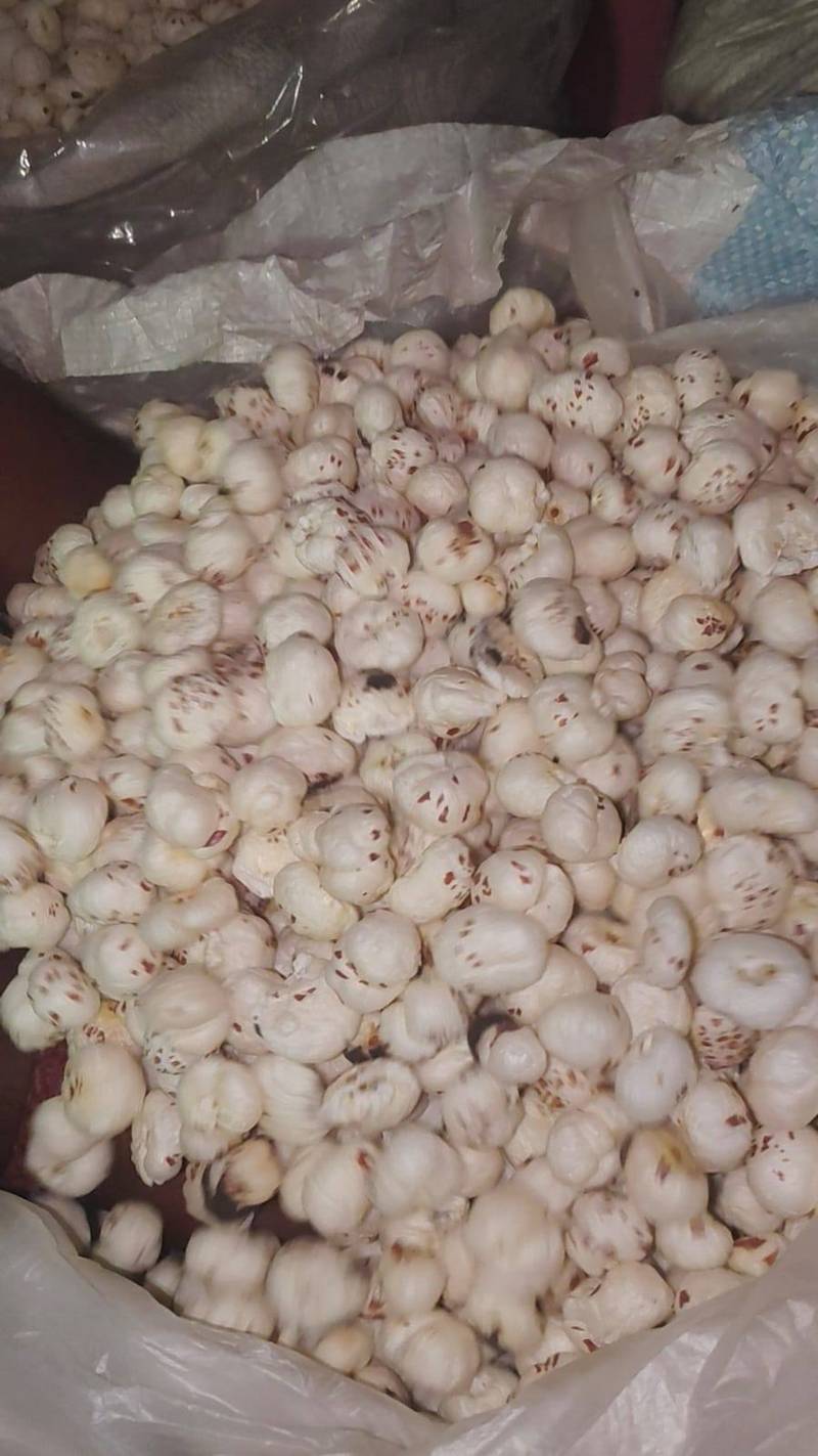 Pudina Twist Makhana